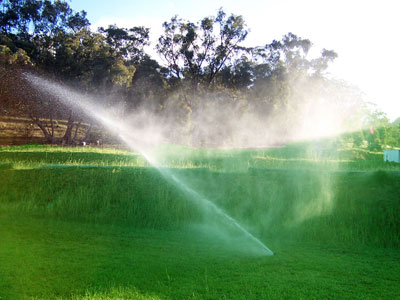 Installazione impianti di irrigazione a Pistoia